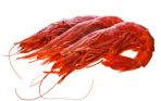 Rotgarnelen mit oder ohne Schale Wildfang per 800g